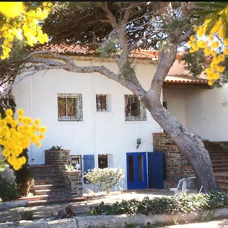 Villa Bleue - Les Pins Port Vendres Buitenkant foto